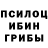 Псилоцибиновые грибы Cubensis Anatoliy Smolyakov