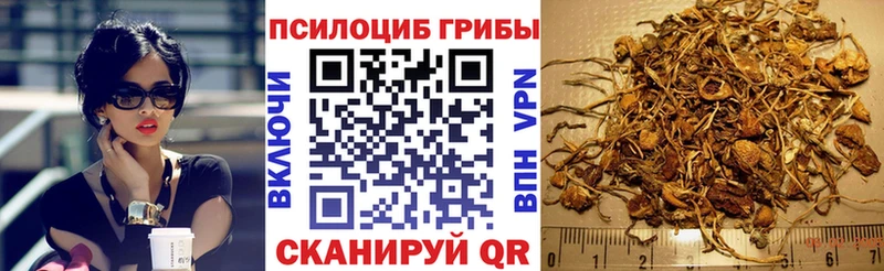 Псилоцибиновые грибы мухоморы Краснодар