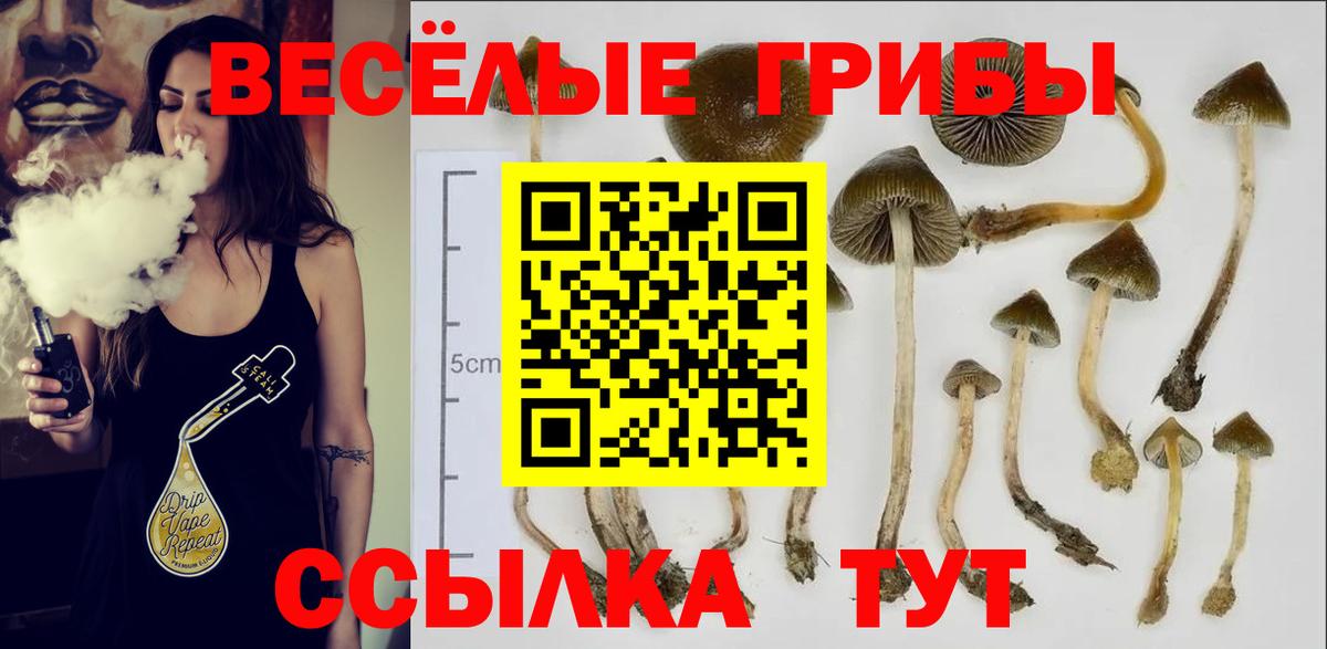 Псилоцибиновые грибы мухоморы Краснодар